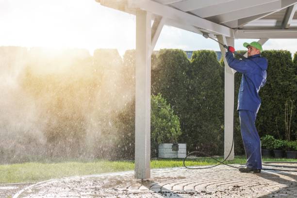 Best Sidewalk and Walkway Cleaning  in Terrace Park, OH